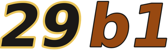 29b1 logo